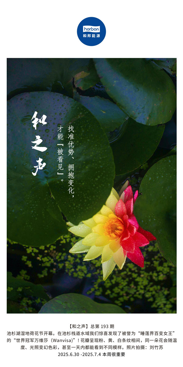 【和之声】找准优势、拥抱变化，才能“被看见”。(总第193期）--2025.6中文导出季度推送用.jpg